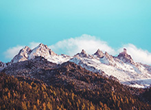 星空体育app官方下载-CBA1/4决赛对阵出炉 沪深交锋 辽粤京厦死亡半区